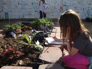 Broadmor Elementary School Garden