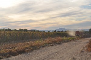 Reclaiming farmland