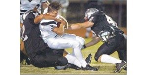 Huskies top dogs no more 