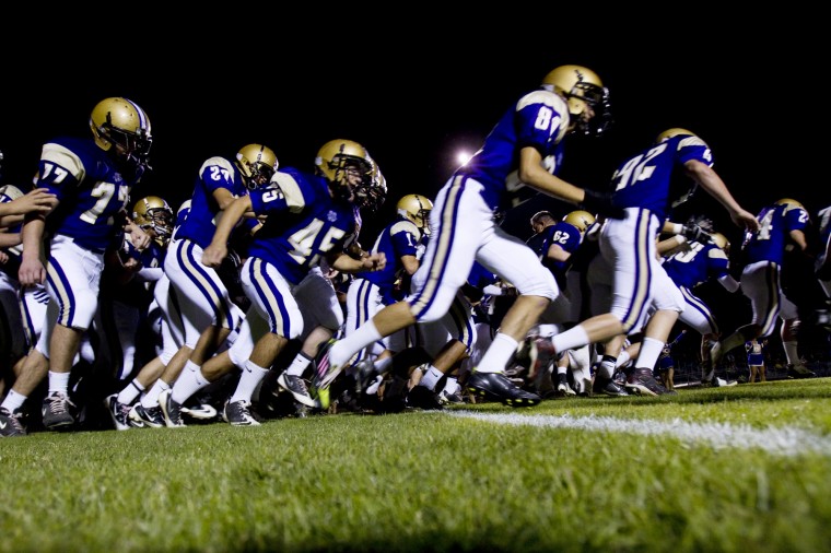 Saguaro at Queen Creek