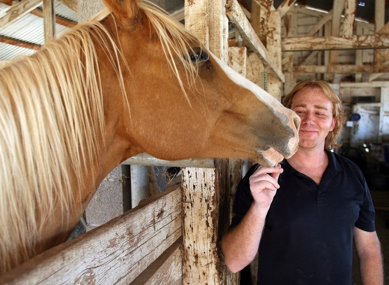 Wildhorse Ranch Rescue