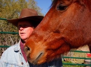 Rescuers liberate abused, neglected horses 