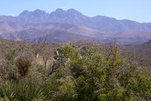 Four Peaks