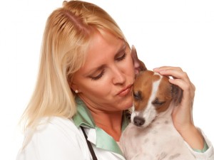 Is your canine overweight? 