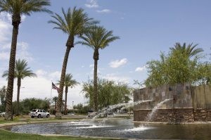 Chandler's Ocotillo comes of age 