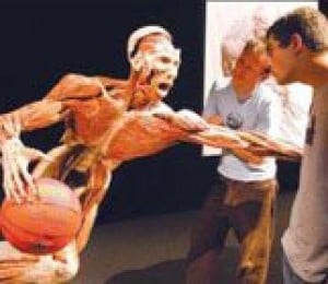 Science center looks for new blood with exhibit 