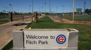 Mesa waiting for Cubs to clarify needs 