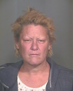Susan Pollock