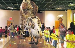 Library card earns free pass to arts venues 
