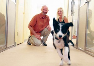 Wiggles & Wags