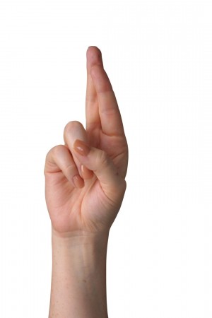 Sign Language