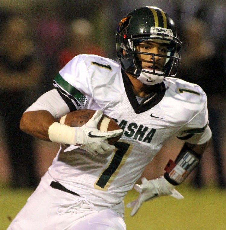 Basha at Hamilton