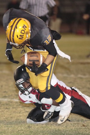 Chaparral at Marcos de Niza 