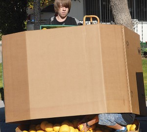 Citrus