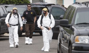 Woman found dead with cats