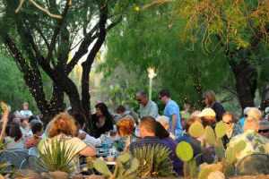 Desert Botanical Garden
