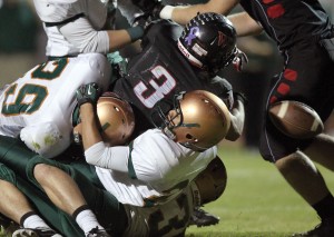 Campo Verde at Williams Field