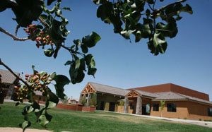 Chandler congregation looks to serve young families, change the world 
