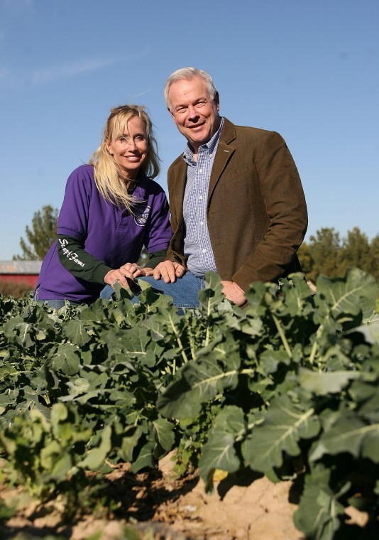 Schnepfs Farms