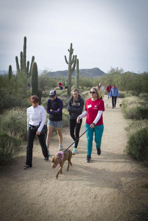 wag walking photos wag n walk east valley tribune events wag walking photos wag n walk east valley tribune events