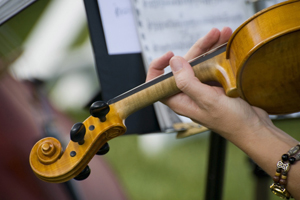 violin