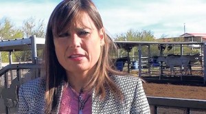 Bill aims to create horse shelter registry 