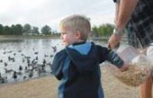 Pollution triggers health warnings 