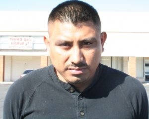 Illegal immigrant arrested in document fraud 