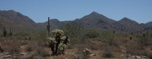 Preserve may cost millions more 