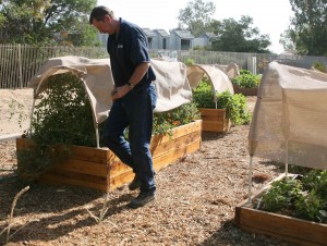 Community Garden