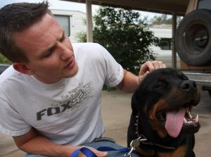 Wounded dog recovering from gunshot 