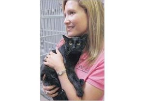 Arizona Humane Society measures success one purr and bark at a time 