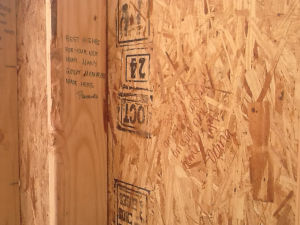Habitat for Humanity