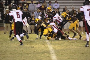 Chaparral at Marcos de Niza 