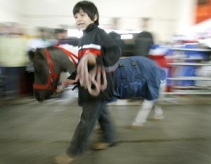 Group uses animals to help children connect 