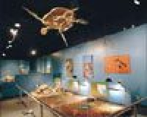 From prehistory to the Space Age, Mesa Southwest Museum chronicles Arizona’s contributions 