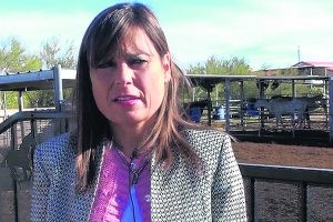 Bill aims to create horse shelter registry 