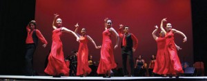 Calo Flamenco Cuadro