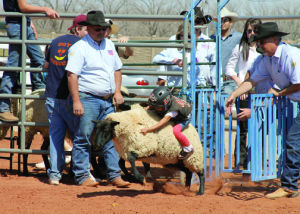 Mutton Bustin'