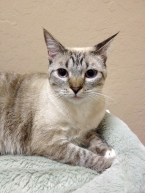 Someone to love: Coco