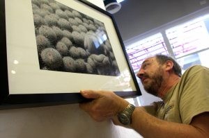 Artists, businesses look forward to MACFest 