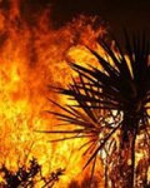 Southern California wildfire advancing 