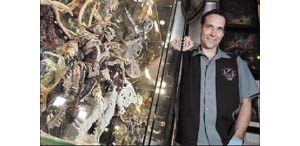 McFarlane Toys spawns huge success 