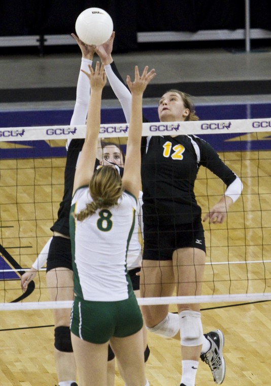 2011 Volleyball State Championship