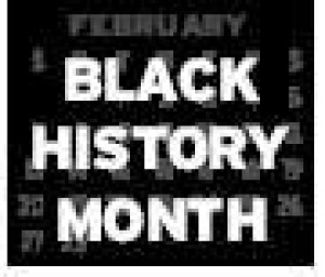 Test focus hurts black history 