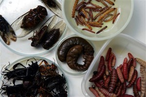 Mexico Haute Cuisine