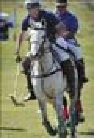 E.V. polo lovers say game is esoteric, but hardly elitist 
