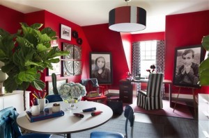 Homes-Designer-Getting Organized