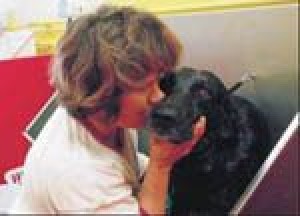 In Focus - It's a dog's life at wash shop 