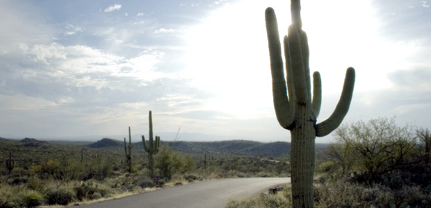 Explore Arizona